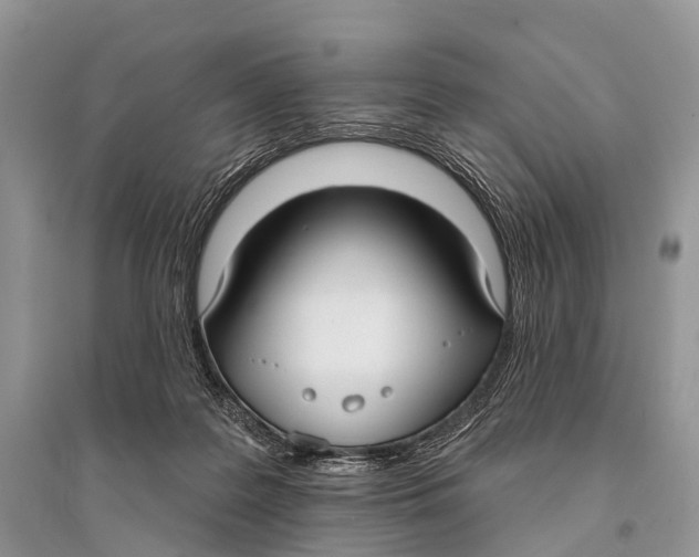 X0000094920219200712201227