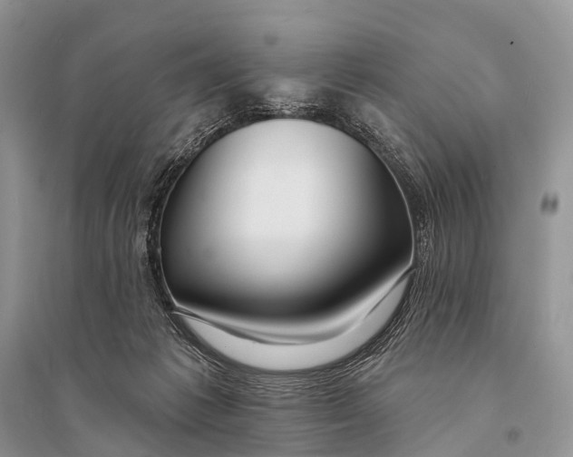X0000094920221200712201227