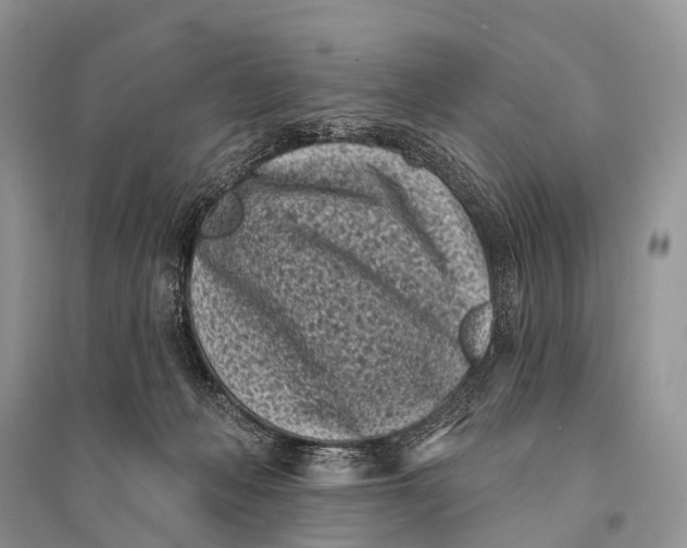 X0000094920222200712201227