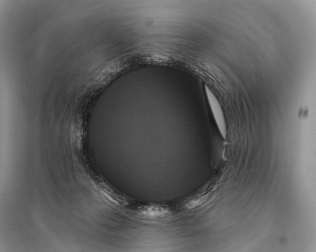 X0000094920223200712201227