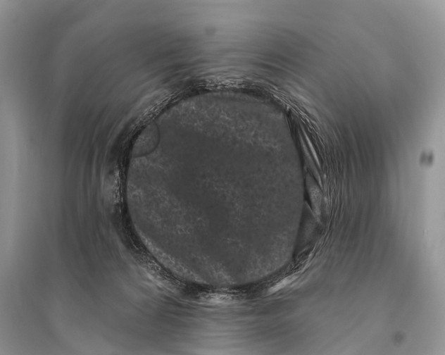 X0000094920224200712201227