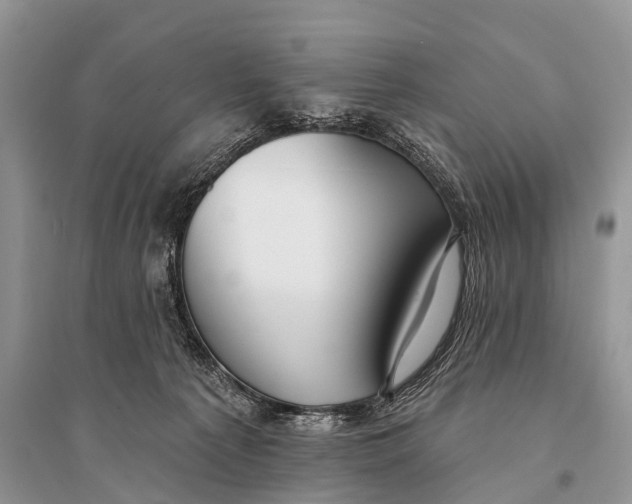 X0000094920225200712201227
