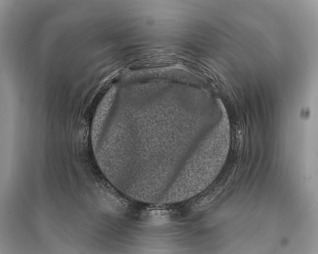 X0000094920228200712201227