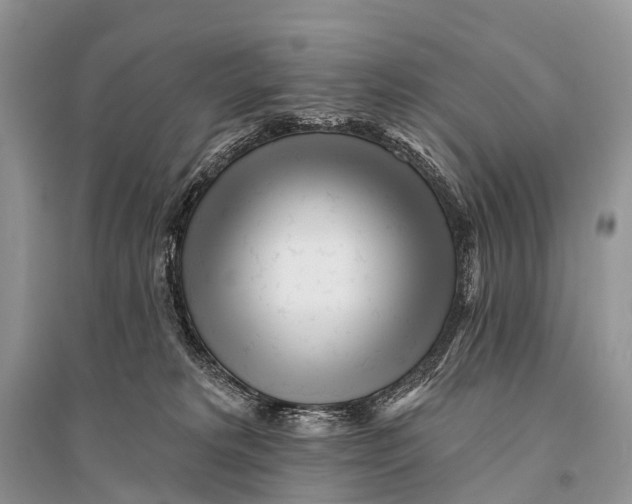 X0000094920229200712201227