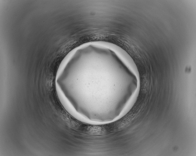 X0000094920230200712201227