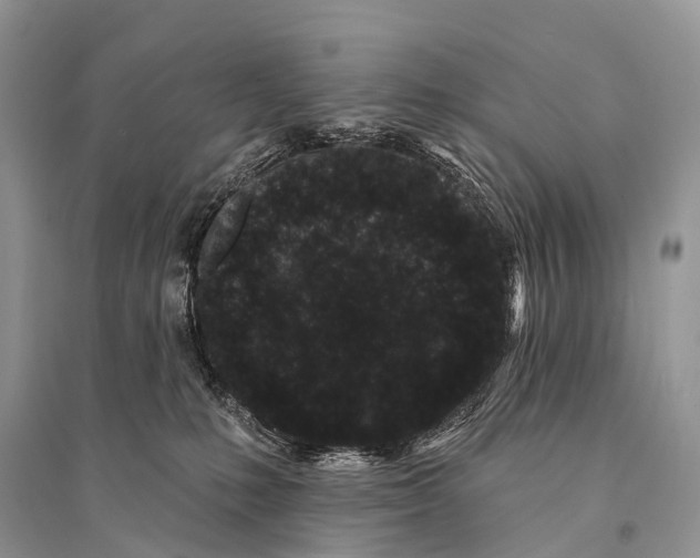 X0000094920231200712201227