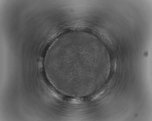 X0000094920232200712201227
