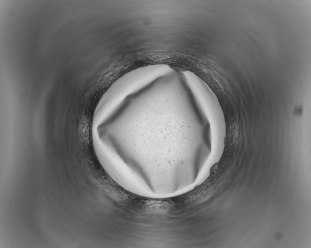 X0000094920234200712201227