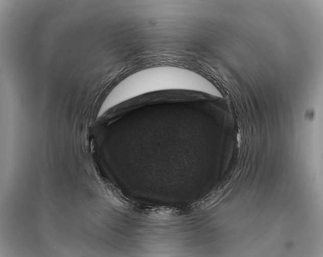 X0000094920235200712201227