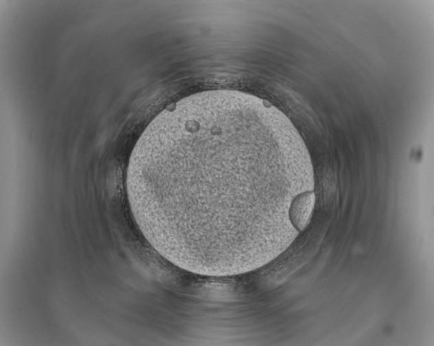 X0000094920236200712201227