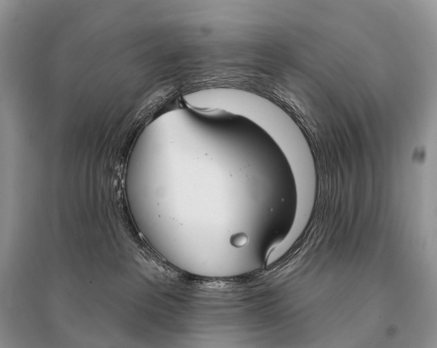 X0000094920237200712201227