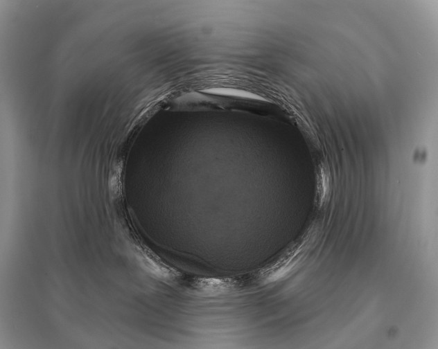 X0000094920239200712201227