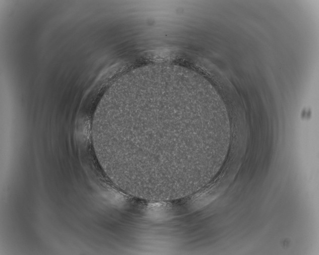 X0000094920240200712201227