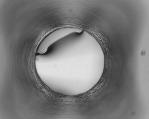 X0000094920241200712201226