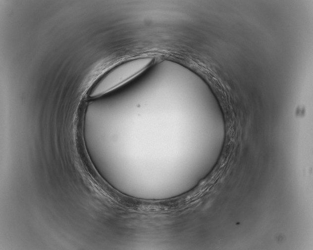 X0000094920242200712201226