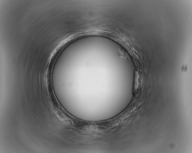 X0000094920244200712201226