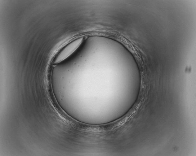 X0000094920245200712201226