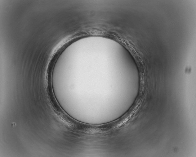 X0000094920246200712201226