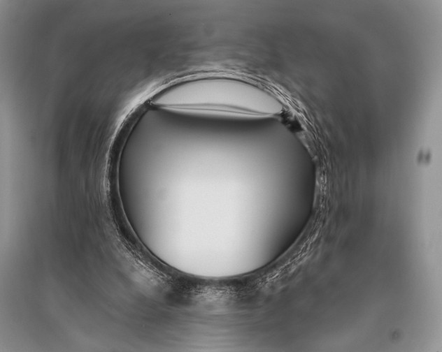 X0000094920248200712201226