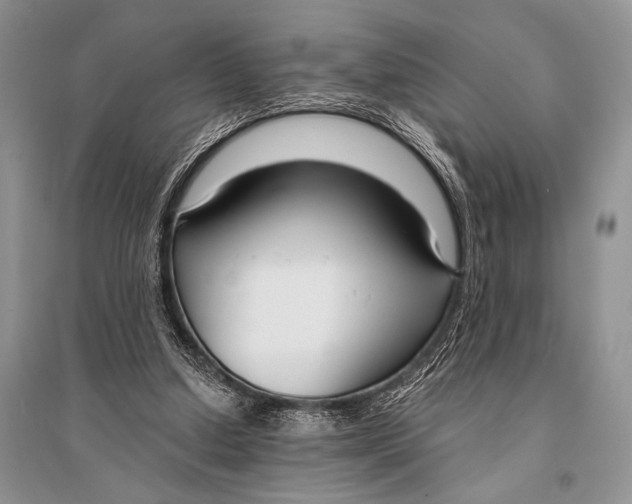 X0000094920250200712201226