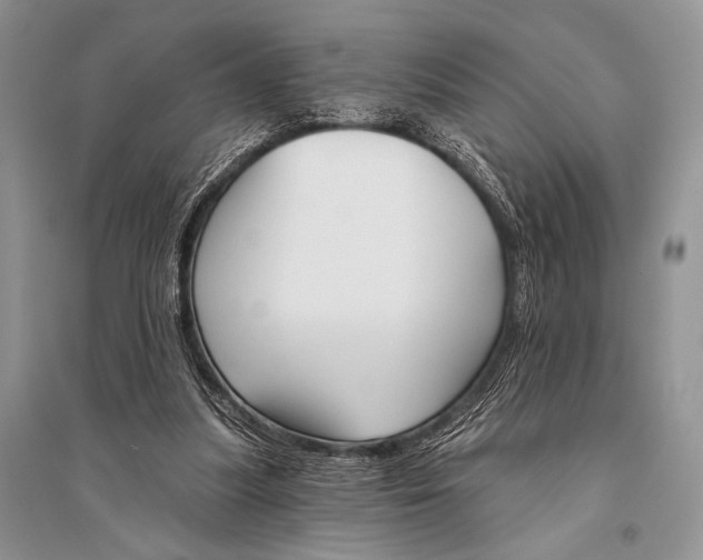 X0000094920251200712201226