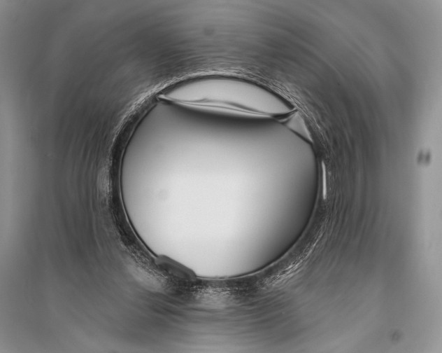X0000094920252200712201226