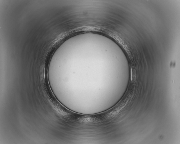 X0000094920253200712201226