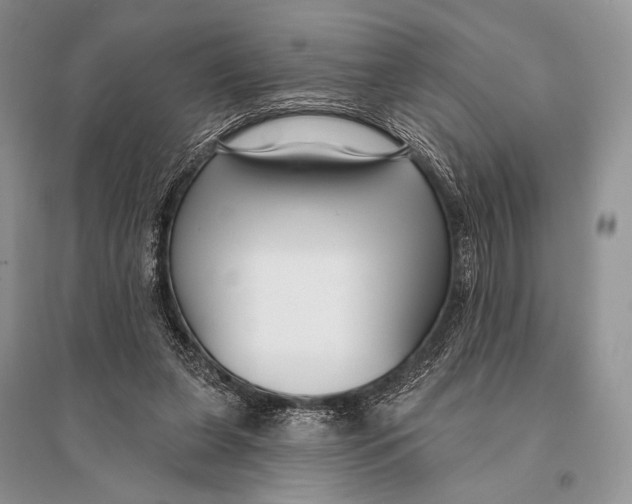 X0000094920255200712201226