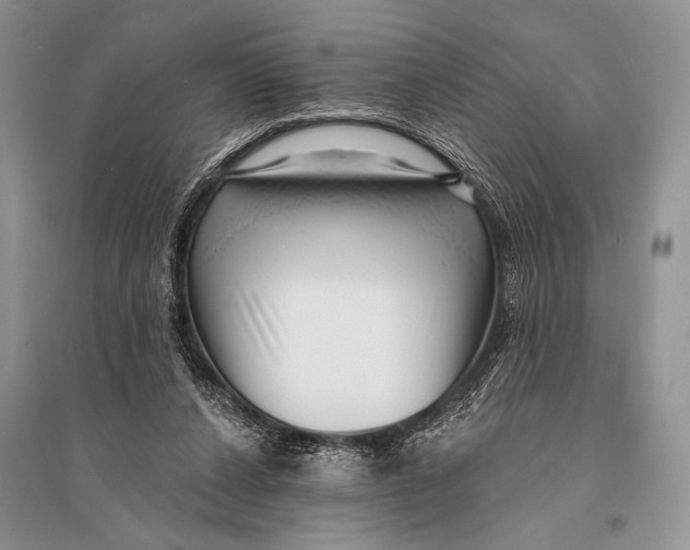 X0000094920256200712201226