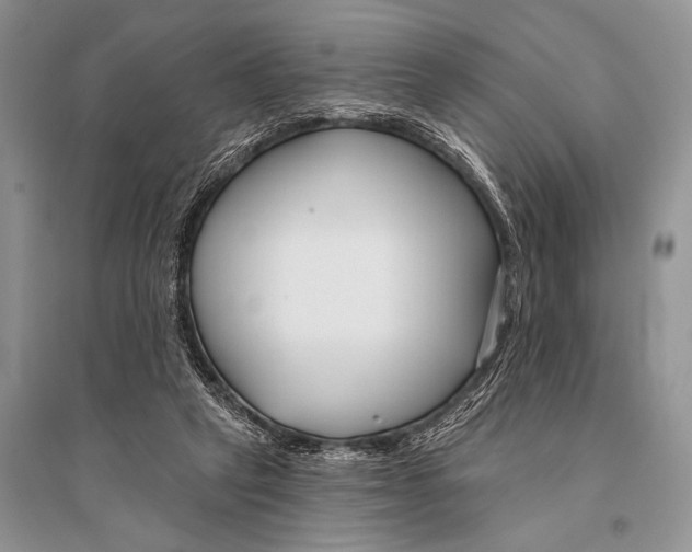 X0000094920257200712201226