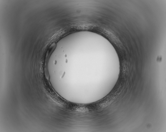 X0000094920258200712201226