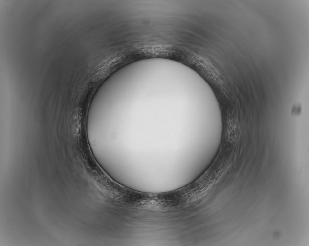 X0000094920259200712201226