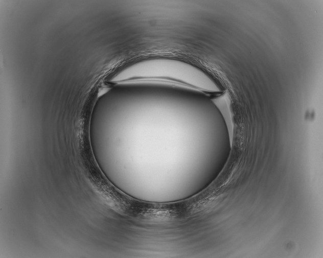 X0000094920260200712201226