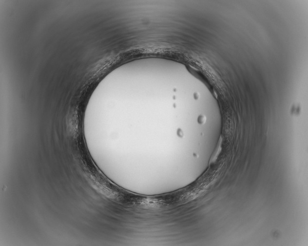 X0000094920261200712201226
