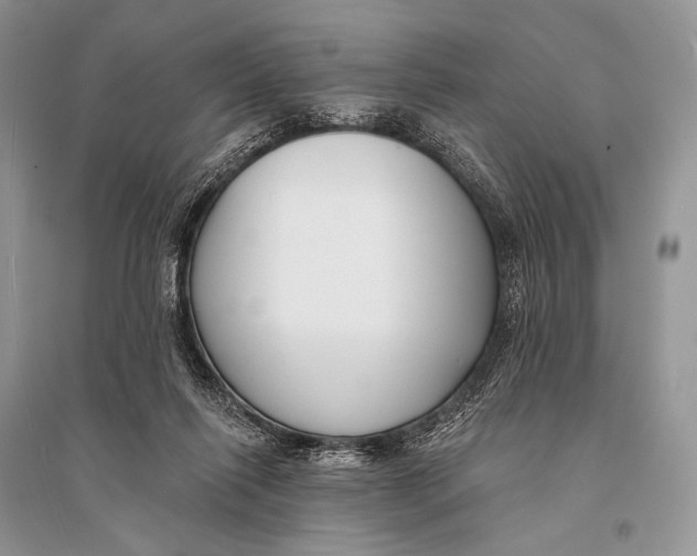 X0000094920262200712201226
