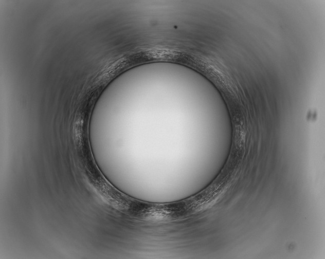X0000094920263200712201226
