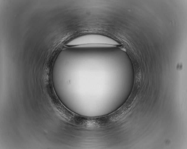X0000094920264200712201226