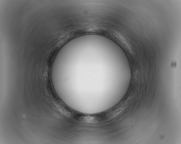 X0000094920265200712201226