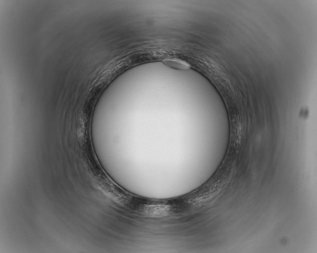X0000094920266200712201226