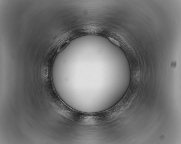 X0000094920268200712201226