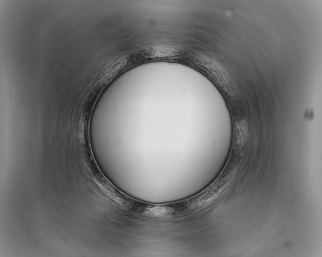 X0000094920269200712201226