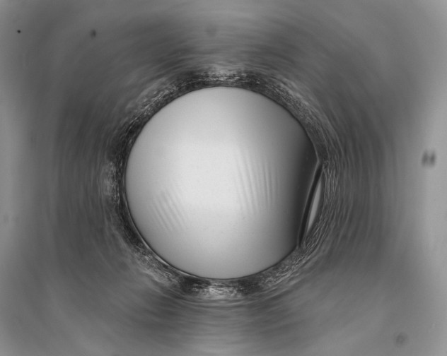 X0000094920270200712201226