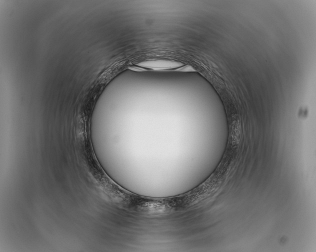 X0000094920272200712201227