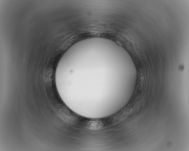 X0000094920275200712201227