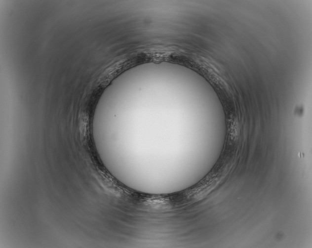 X0000094920283200712201227