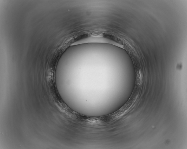 X0000094920284200712201227
