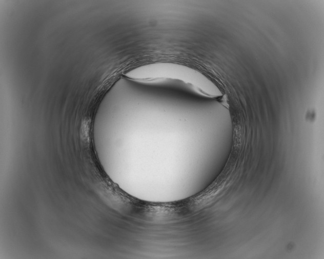 X0000094920286200712201227
