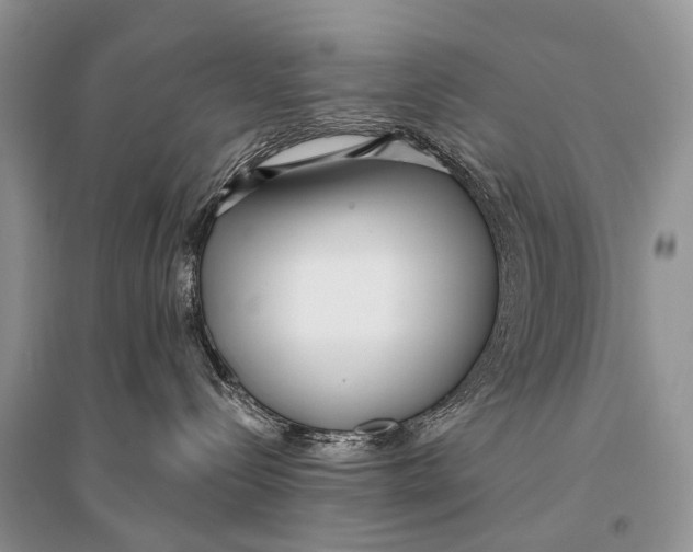 X0000094920288200712201227