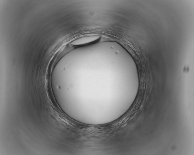 X0000094920290200712201226