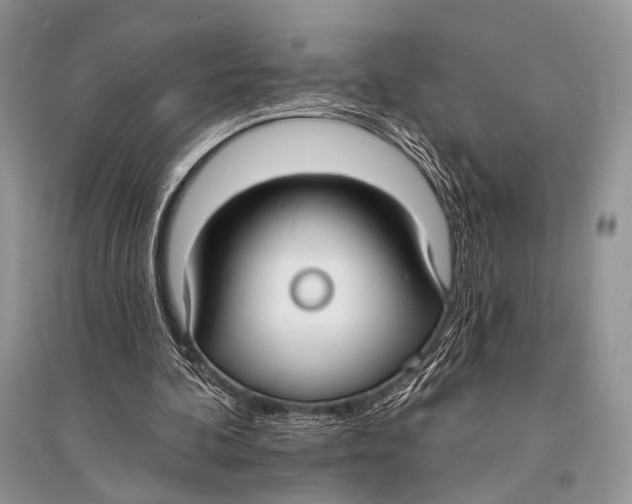 X0000094920292200712201226